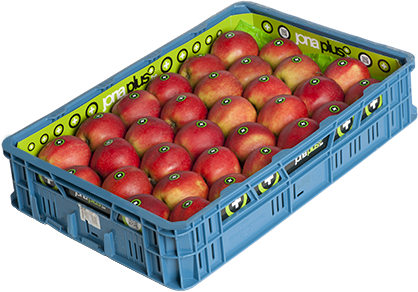Kist met Jonaplus appelen